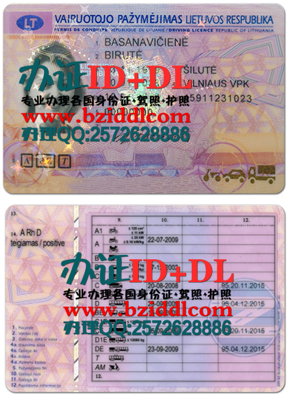 办立陶宛驾照,Lietuvos vairuotojo pažymėjimas，立陶宛旧版驾照