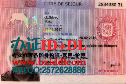 Belgische verblijfsvergunning,比利时临时居留证,比利时永久居留证,比利时工作居留证,比利时移民居留许可证,比利时居留证样本