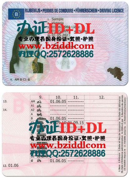 比利时驾照,Belgisch rijbewijs,Belgian driving license,Permis de conduire belge,Belgischer Führerschein,比利时驾照样本,比利时驾驶执照,比利时国际驾照,办比利时驾照