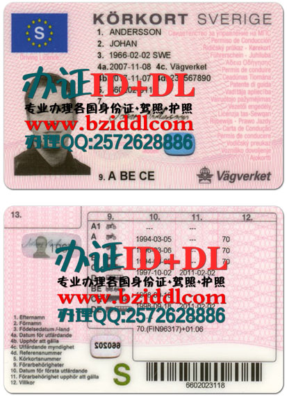 办瑞典驾驶执照,Svenska körkort,Swedish driving license需要提供以下资料，瑞典老板驾驶证样本