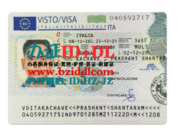 意大利签证PSD模板Italian visa PSD template