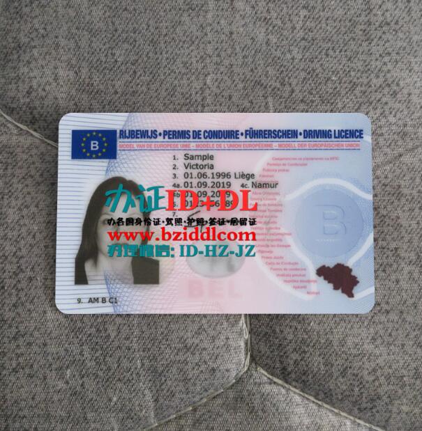 比利时2019年驾照样本,Belgium 2019 driving license sample