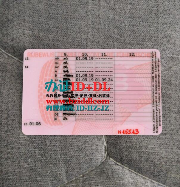 办比利时驾驶执照(2019年-至今样本),Belgian driver's license (2019-present sample)