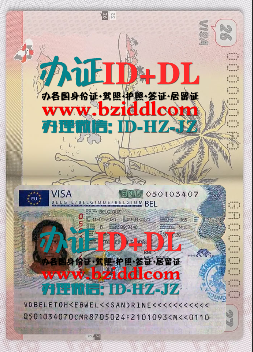 办比利时签证,Belgian visa 