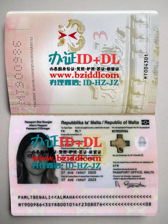 办马耳他2019年护照样本,Malta 2019 passport sample