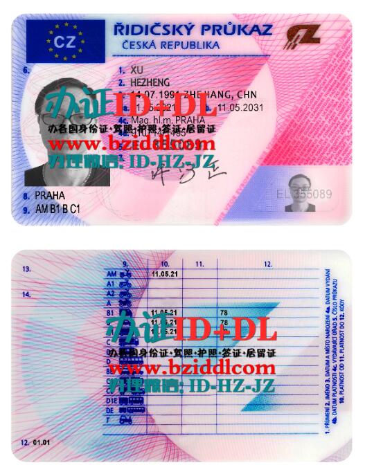 捷克新驾照2013年-至今版本PSD模板,Czech New Driver's License 2013 Present Version PSD Template