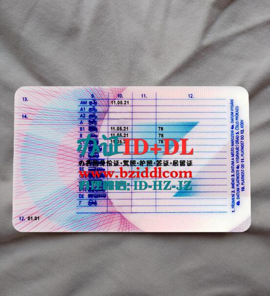 办捷克最新驾照,Latest Czech driver's license
