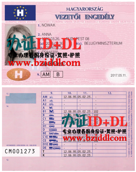 怎么申请匈牙利驾照,办匈牙利真实驾照,办匈牙利高仿驾照