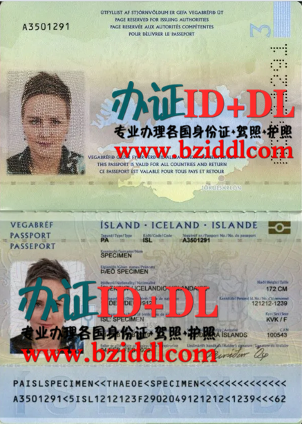 办冰岛带芯片护照,办冰岛高仿护照,办冰岛新版护照